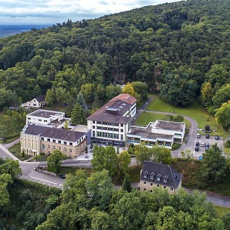 Kloster Neustadt Neustadt an der Weinstraße Εξωτερικό φωτογραφία